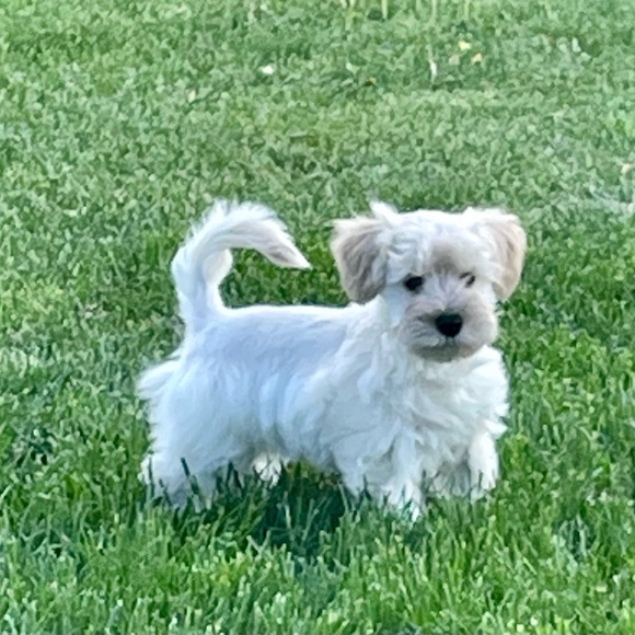 Meet your Posher, Sonia - Picture 6 of 9